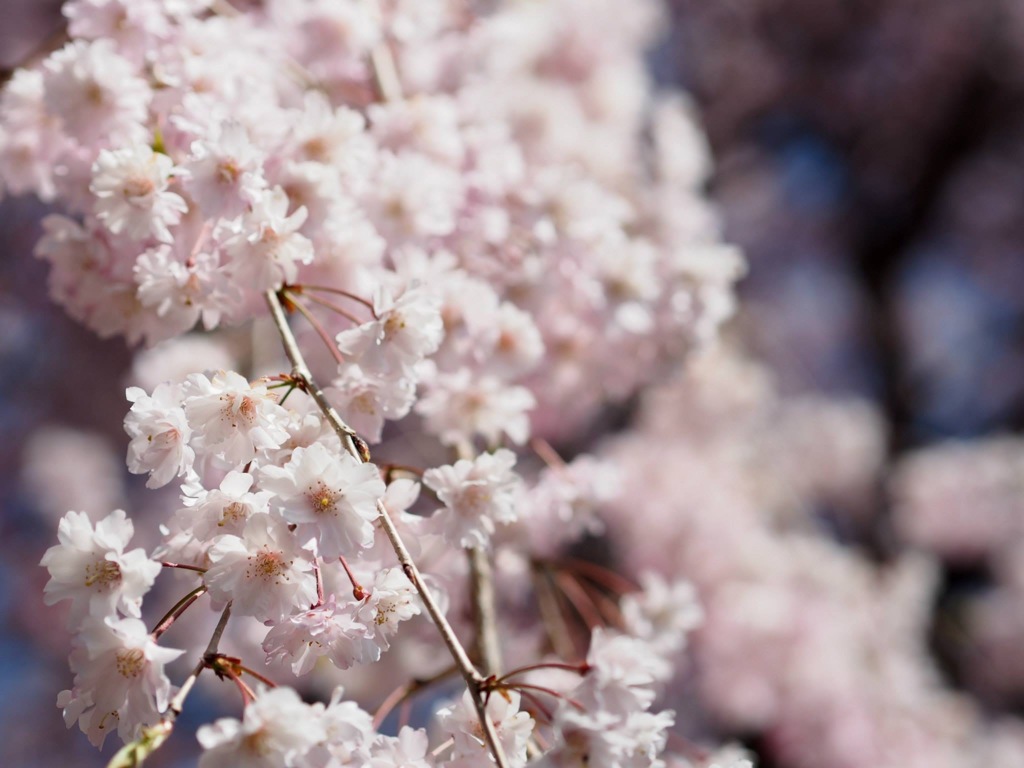 08AC323A-700A-431F-B84A-244E66DB906F