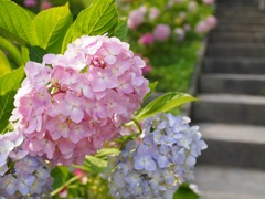 21E11829-91C6-41A1-85DA-C42E9D793D04