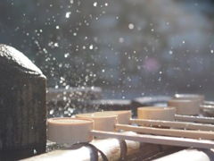 22961310-1764-438F-AC3D-839FB09A9A87