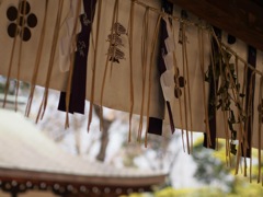 A419D340-A503-4321-A7E8-E88906174A4F