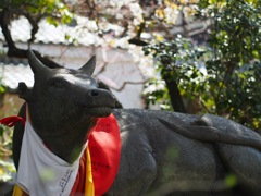 C3E33B32-17AD-4624-8AC2-D985A202F7AE