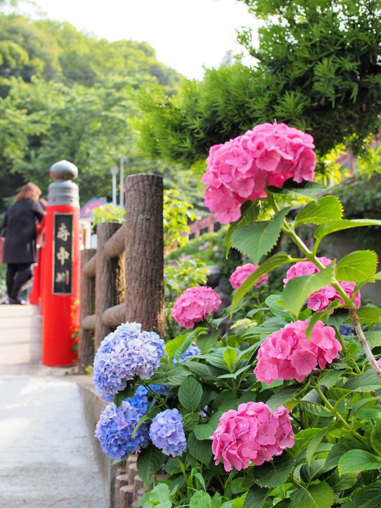 8079585B-5198-4A5C-B058-EF7FE2F8730E