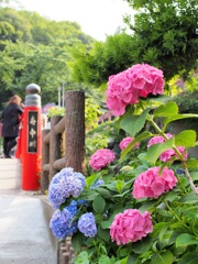 8079585B-5198-4A5C-B058-EF7FE2F8730E