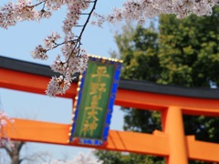 3EBFC88C-5D1D-4D2A-ACBE-B5182C67409D