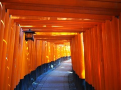 FF05F2B9-A50A-4797-B234-011101DB9D0E