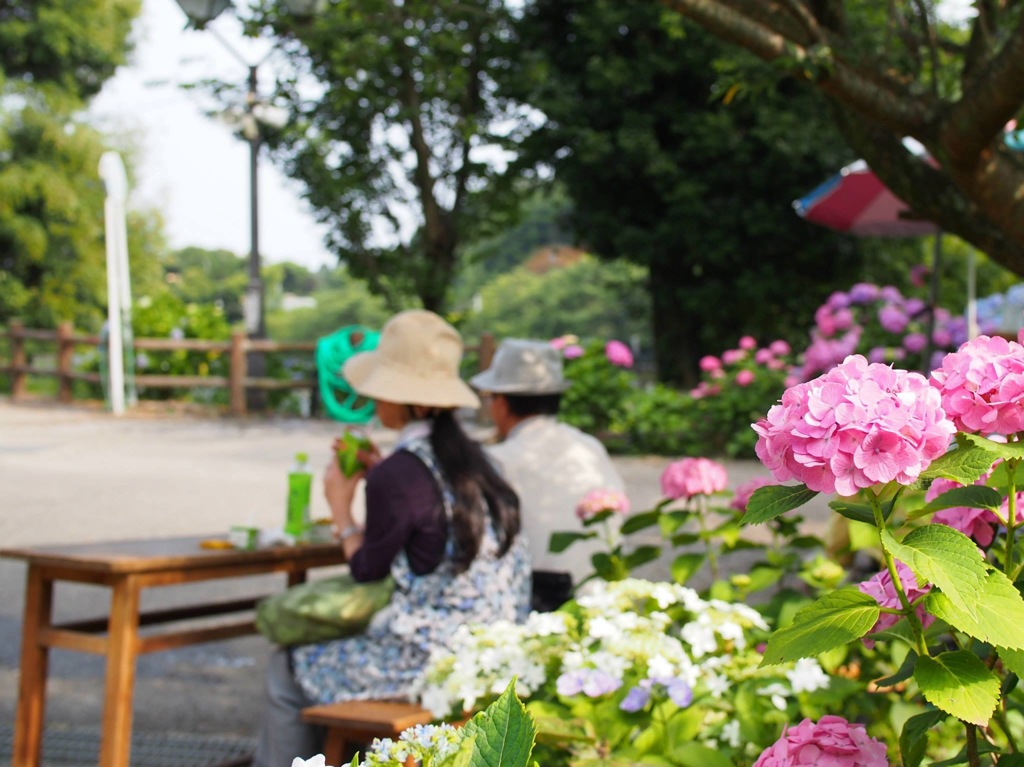 A21B0661-2BC6-4B46-9BAF-10380643F2C1