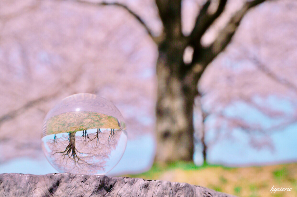 はるいろ…