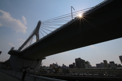 橋