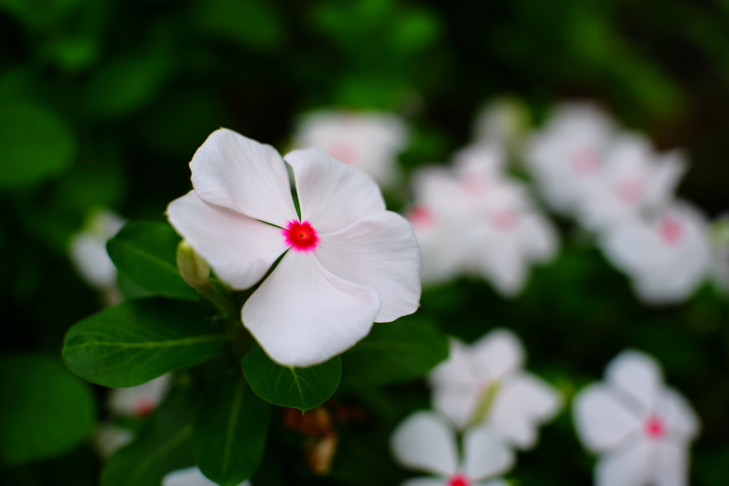 涼しさを迎えた日