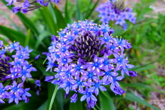 なんていう名前なの？