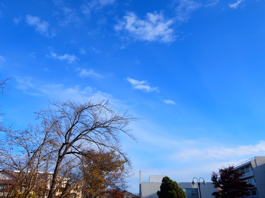 今日の空