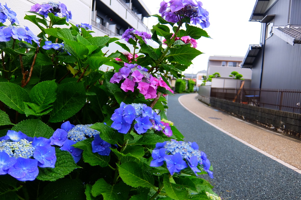 雨を楽しもう。