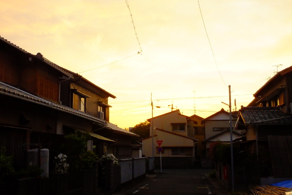 春の夕暮れ時