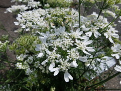 太陽の光を浴びて！