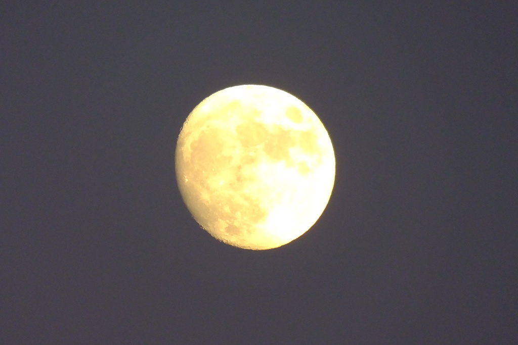 十三夜