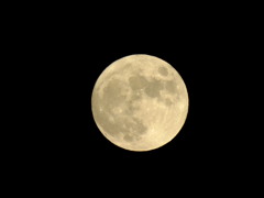 ハンターズムーン