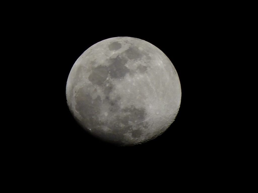 上弦の月　月齢11.6