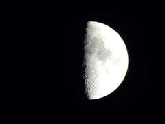 上弦の月