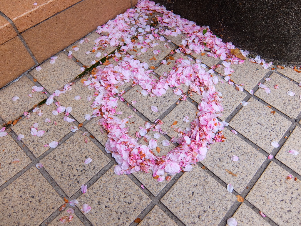 落桜ハート