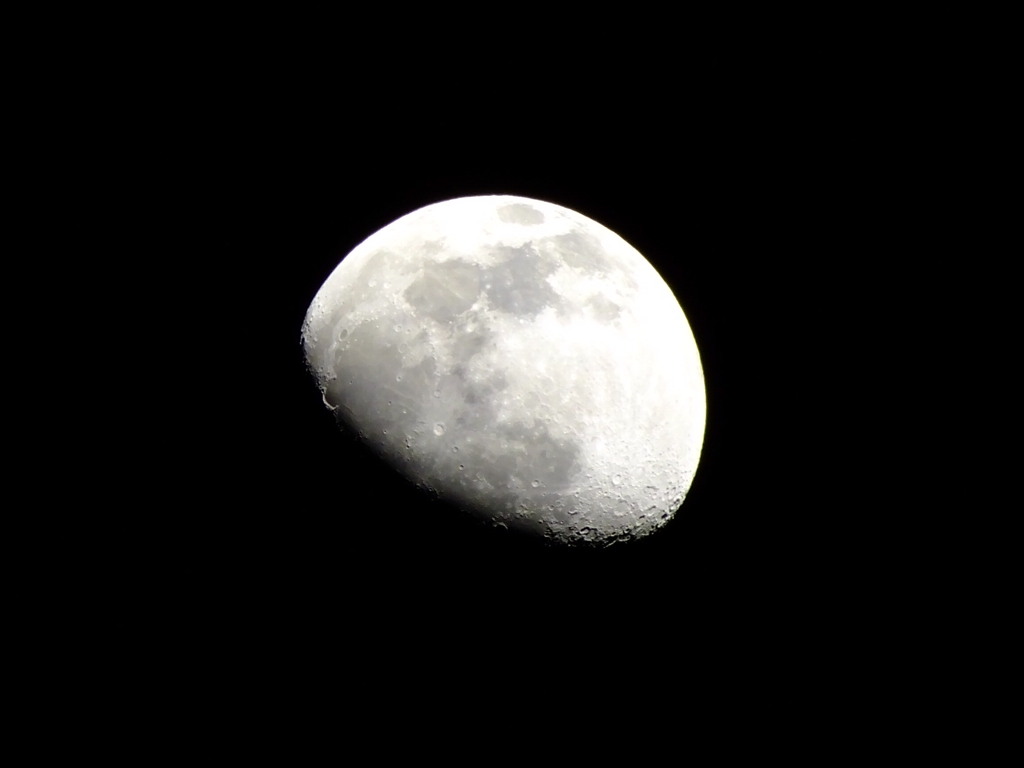 今夜のお月様