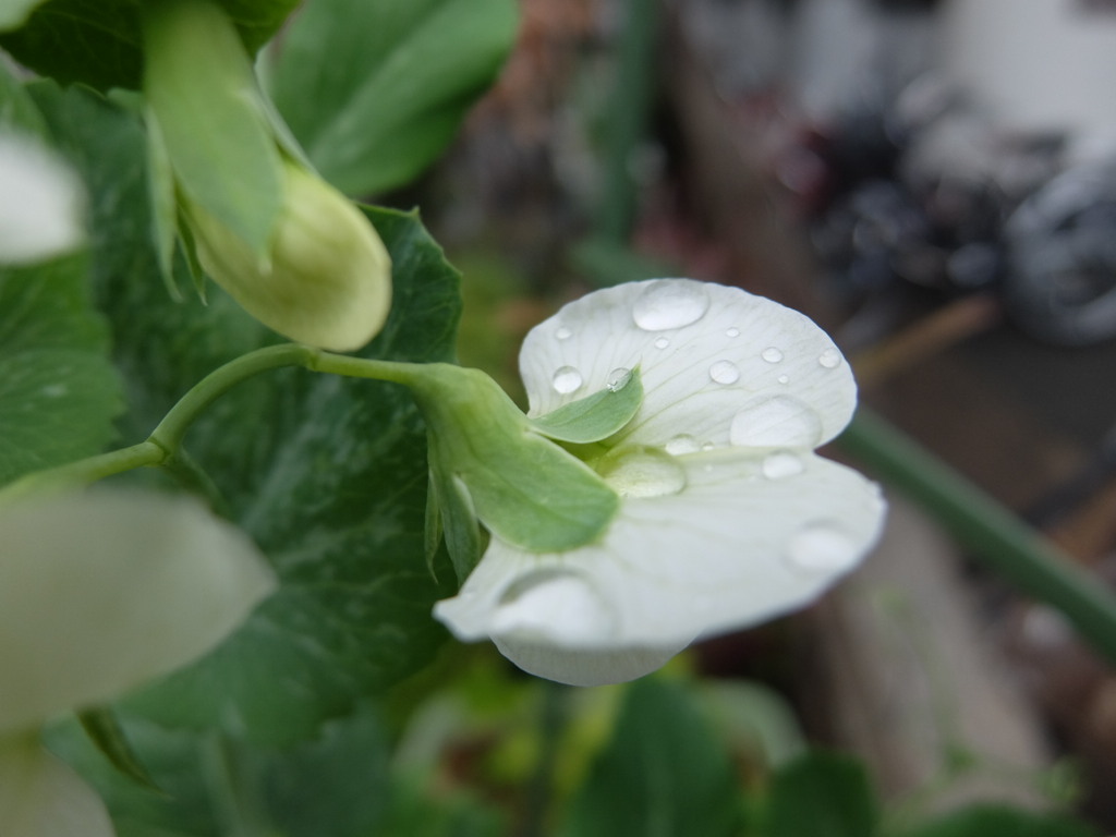水滴