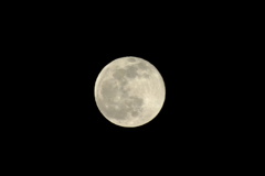 コールドムーン