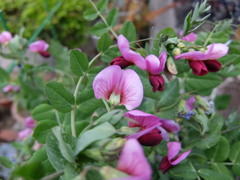 寒さに耐えたよ。