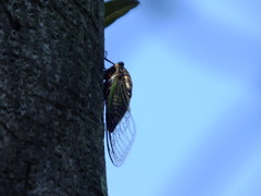 ８月のスタート