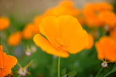 優しい日差しを浴びて。