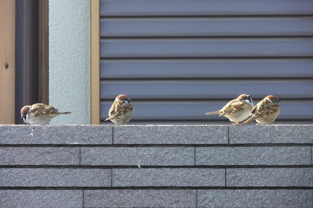 春の陽気に誘われて・・・