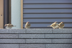 春の陽気に誘われて・・・