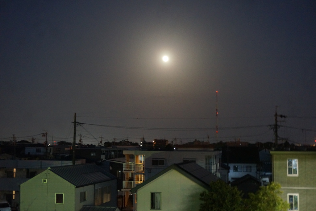 今宵はブルームーン