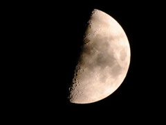 上弦の月
