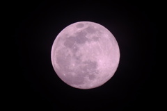 ピンクムーン