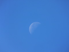 下弦の月