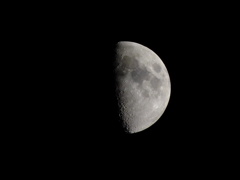 今夜の月