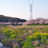 引地川親水公園の朝
