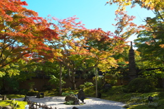 松島　円通院の紅葉