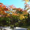 松島　円通院の紅葉