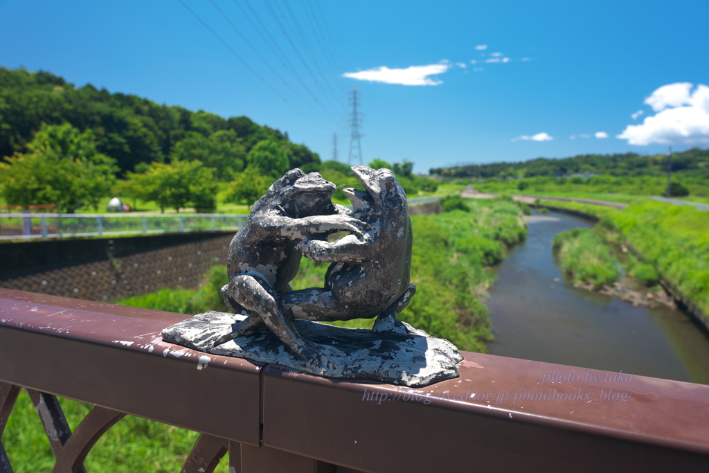 お、落ちる！・・狭い土俵
