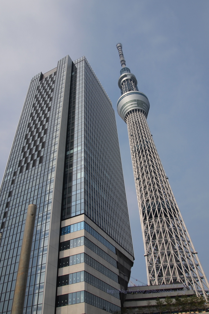 開業前のスカイツリー～蔵出し