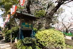 上野精養軒