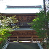 新緑の先に見える円覚寺三門（山門）～鎌倉散歩