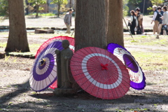 松島　瑞巌寺へ