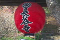 長谷寺提灯