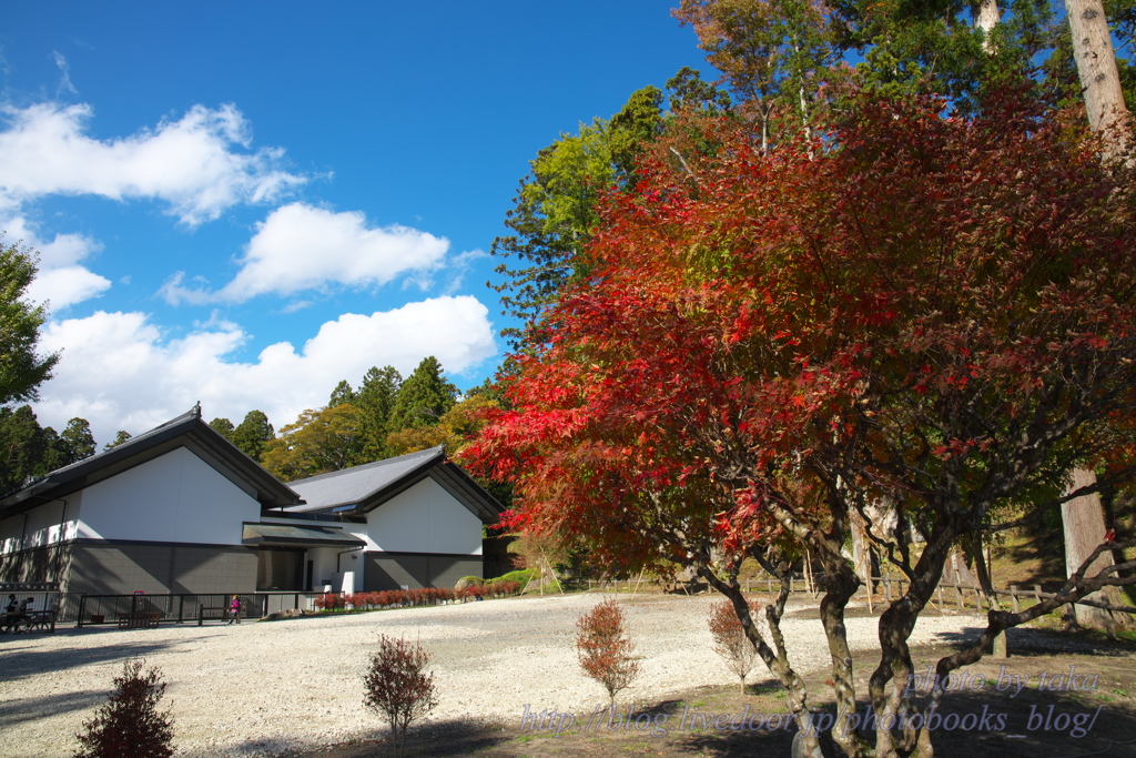 松島　瑞巌寺へ