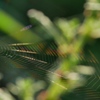 30F63CD1-AEEB-472E-A1B5-31659D0E285C