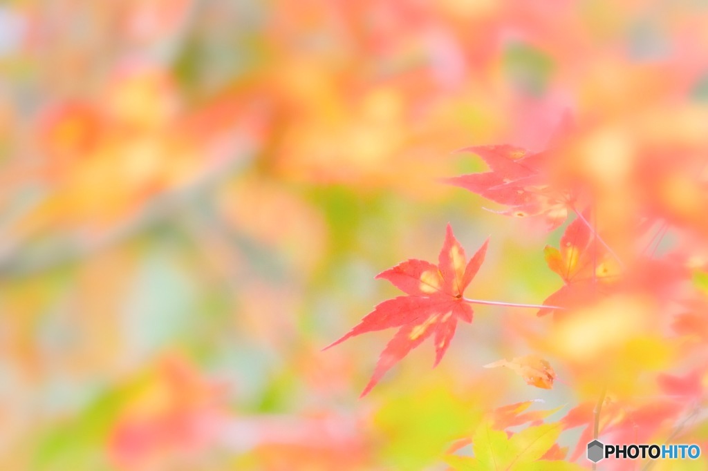 784F5829-62B2-467E-B35E-CE8CA89AD10E
