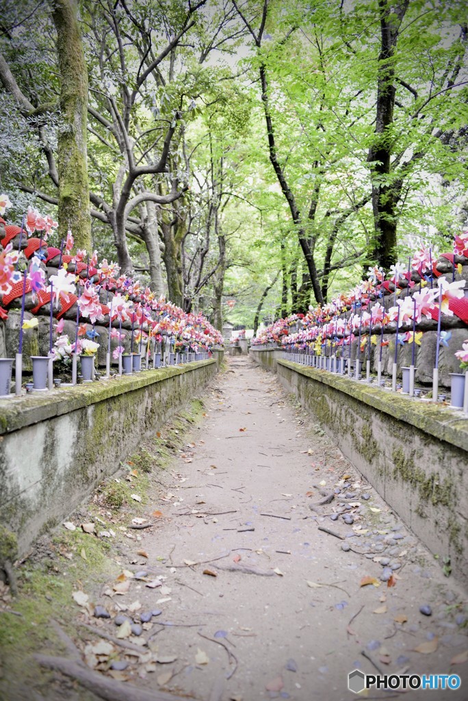 増上寺　子仏様