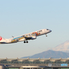 Haneda Airport＆JA248J